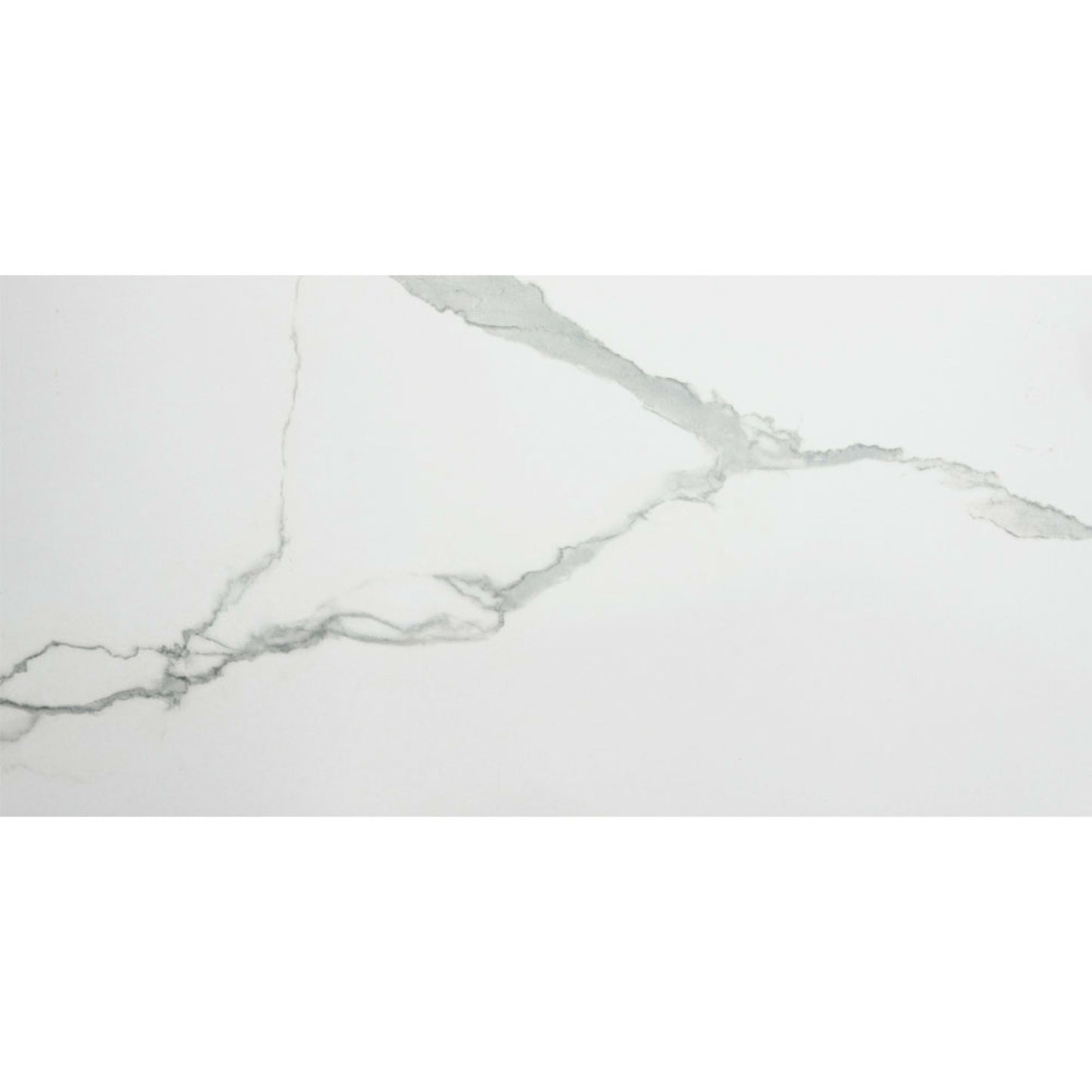 Florencia in Calacatta 12x24 Tile