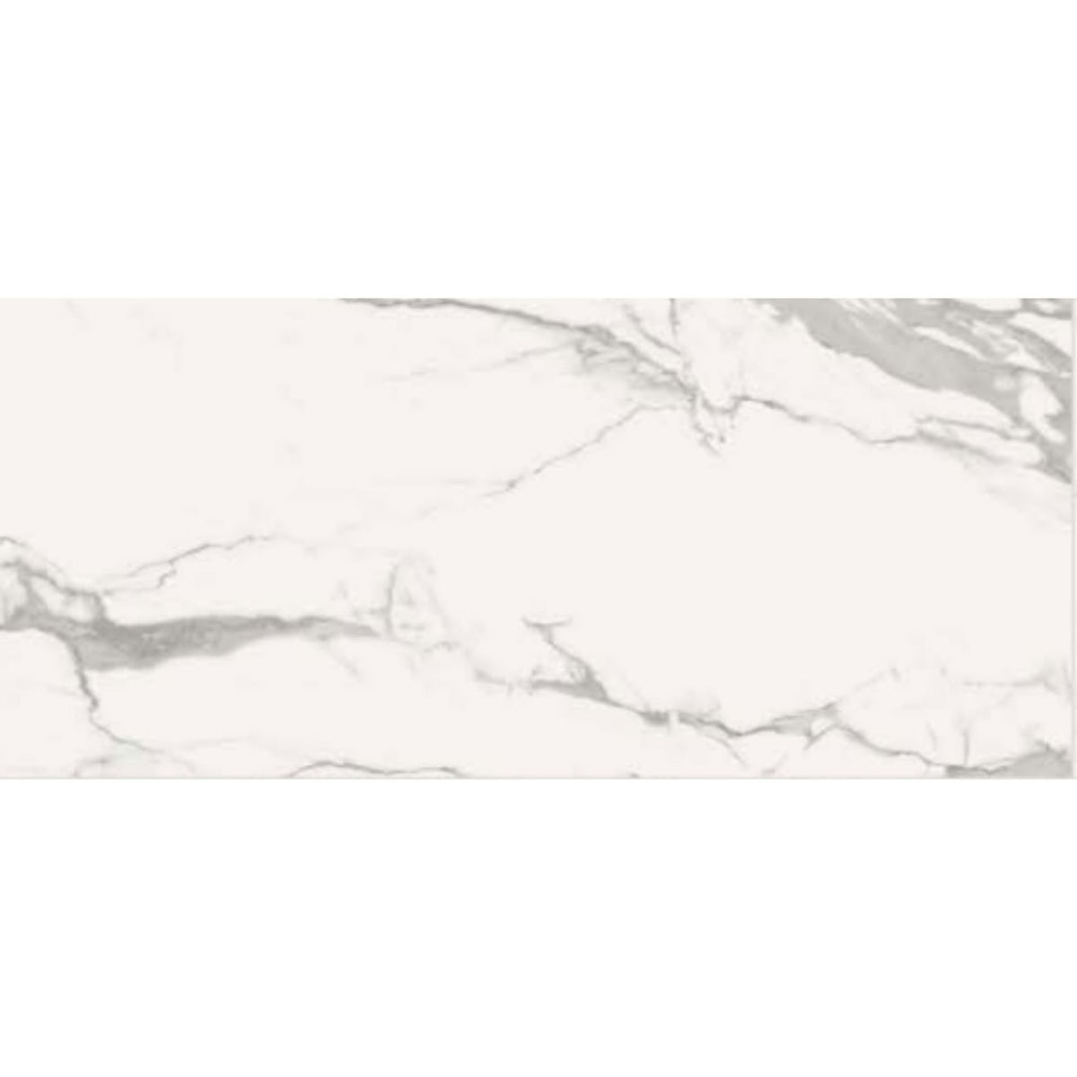 Florencia Silk in Calacatta 12x24 Tile