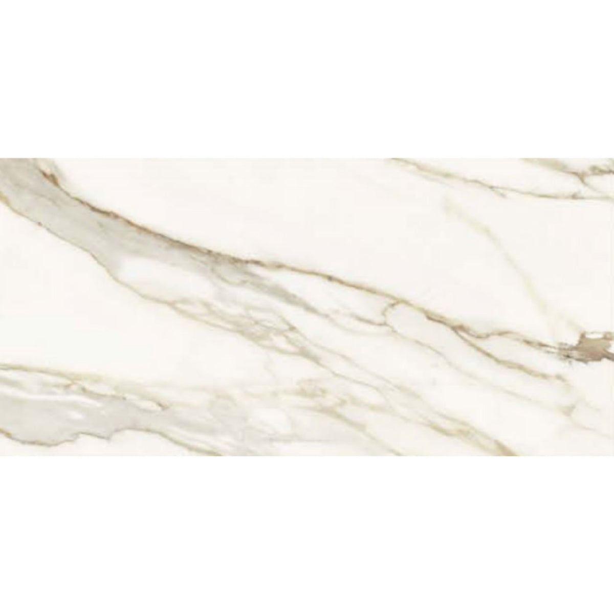 Florencia Silk in Calacatta Gold 12x24 Tile