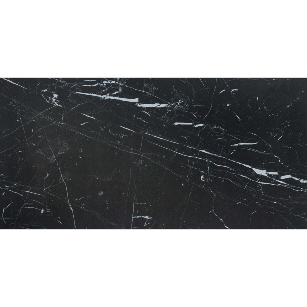 Prexious Silk in Nero Marquinia 12x24 Tile