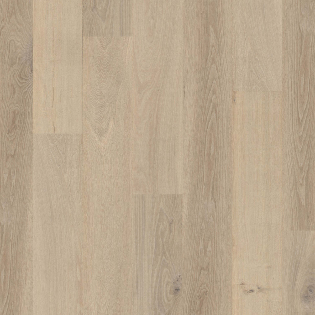 Terra in Taiga Hardwood