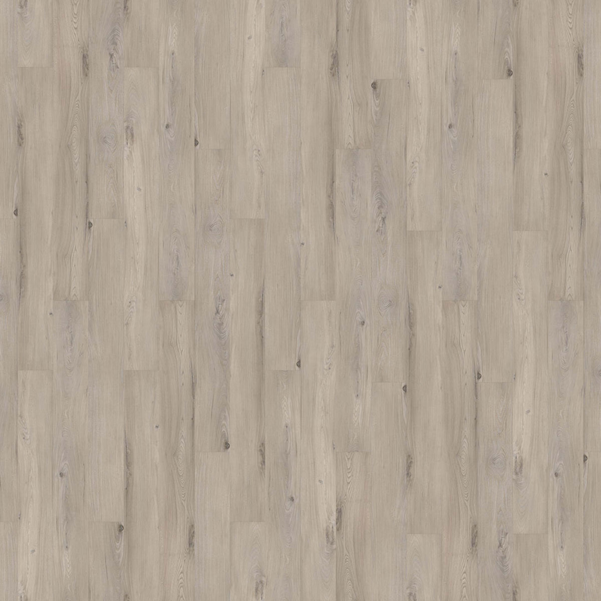 Innovious - Curio in Tommie Elm Luxury Vinyl