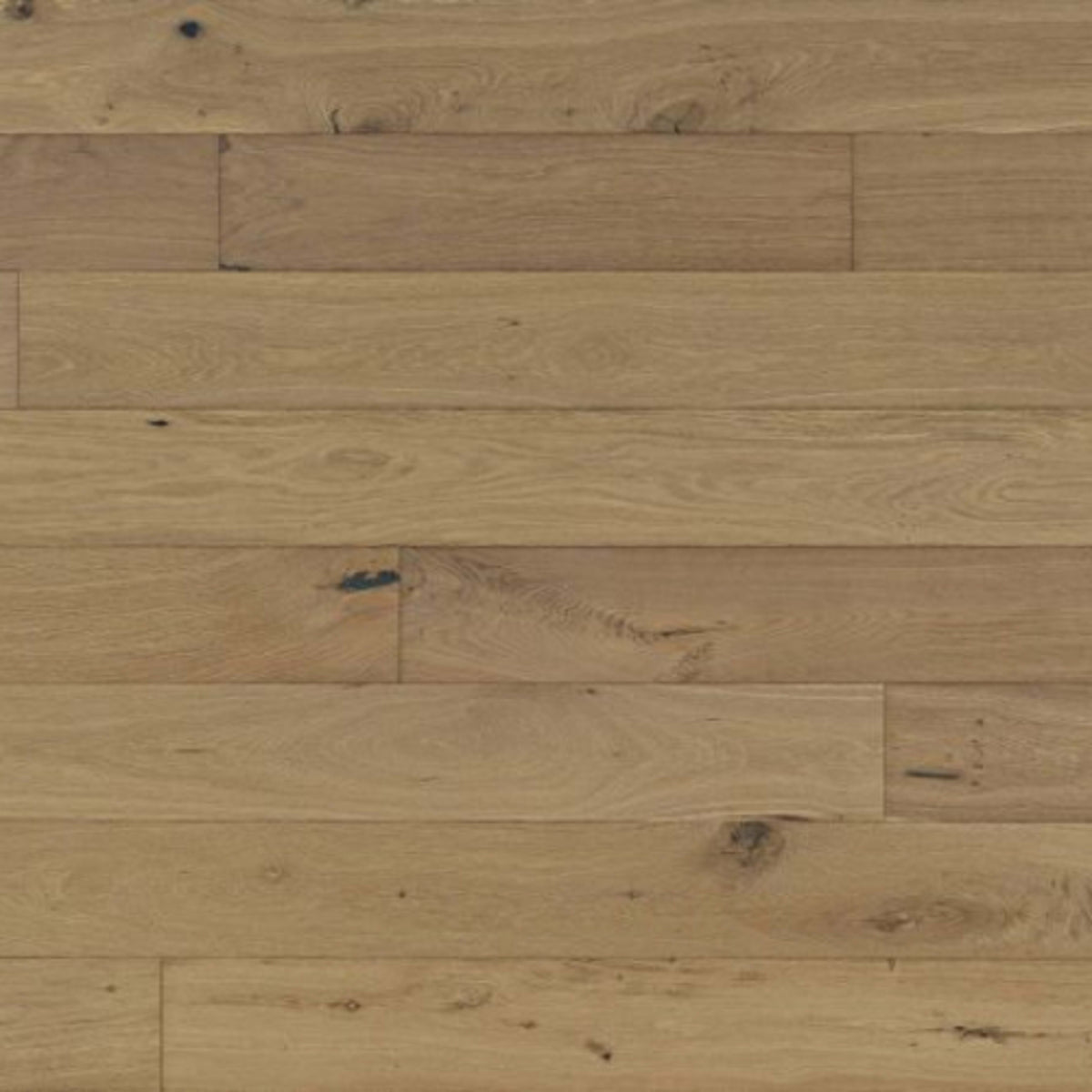 Shores in Trinidad Hardwood