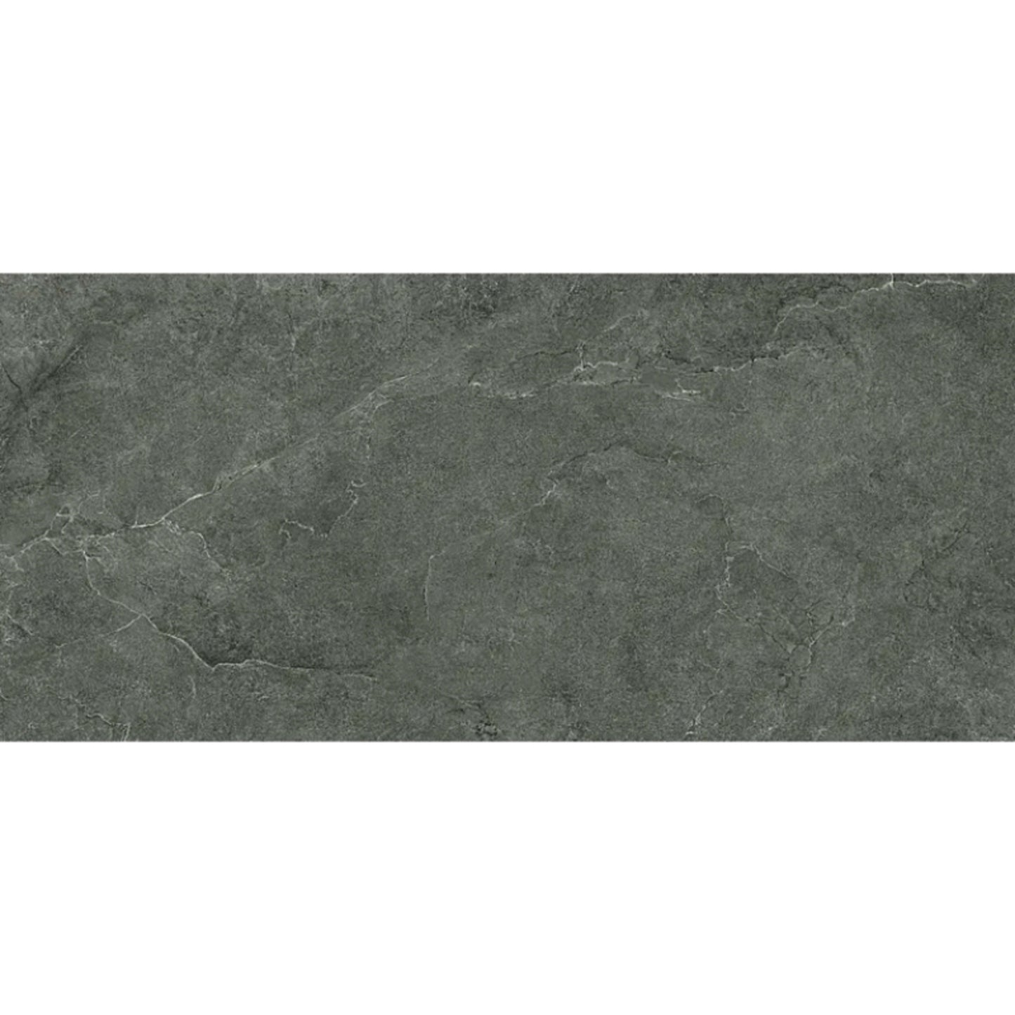 Unica in Carbon 24x48 Tile