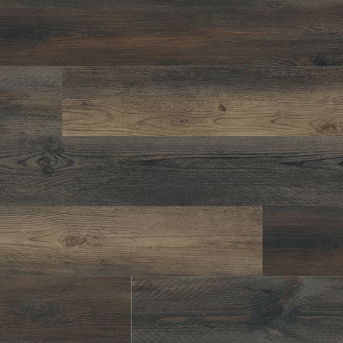 Cyrus in Stable Luxury Vinyl
