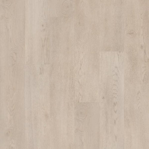 CORETEC PRO PREMIUM VV800