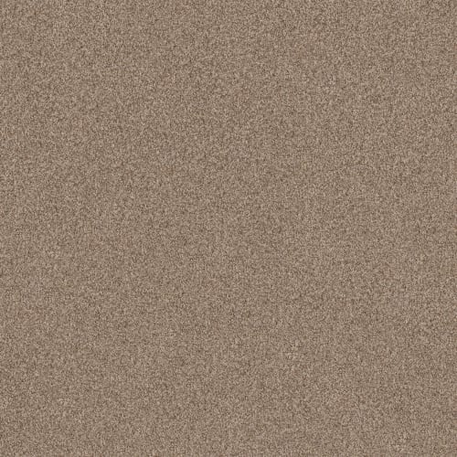 TERRA NOVA