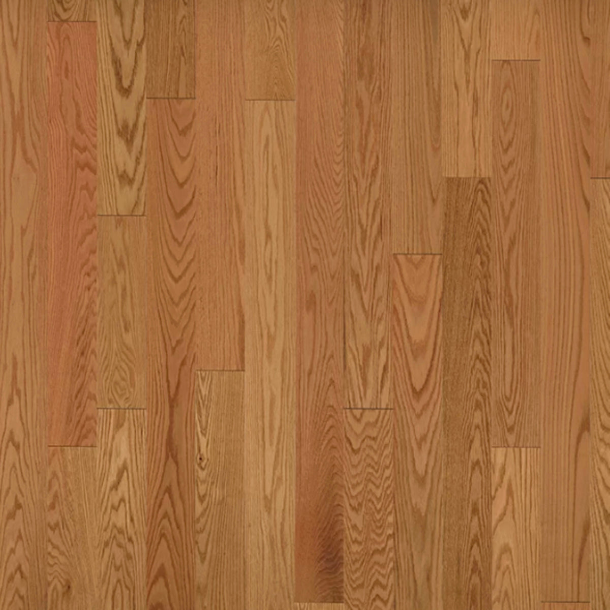 American Traditional Classics in Auburn Red Oak 5" Hardwood