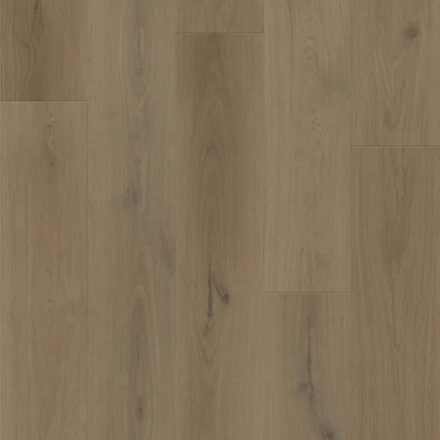Boundless in Forest Oak Luxury Vinyl