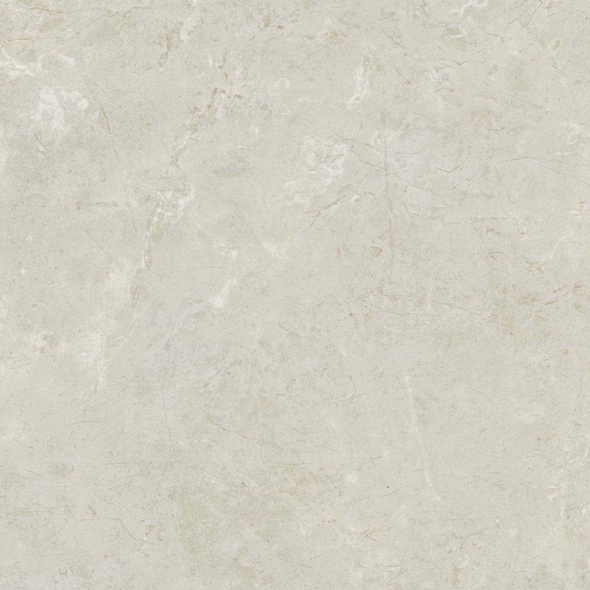 Florentine in Argento 10x14 Tile