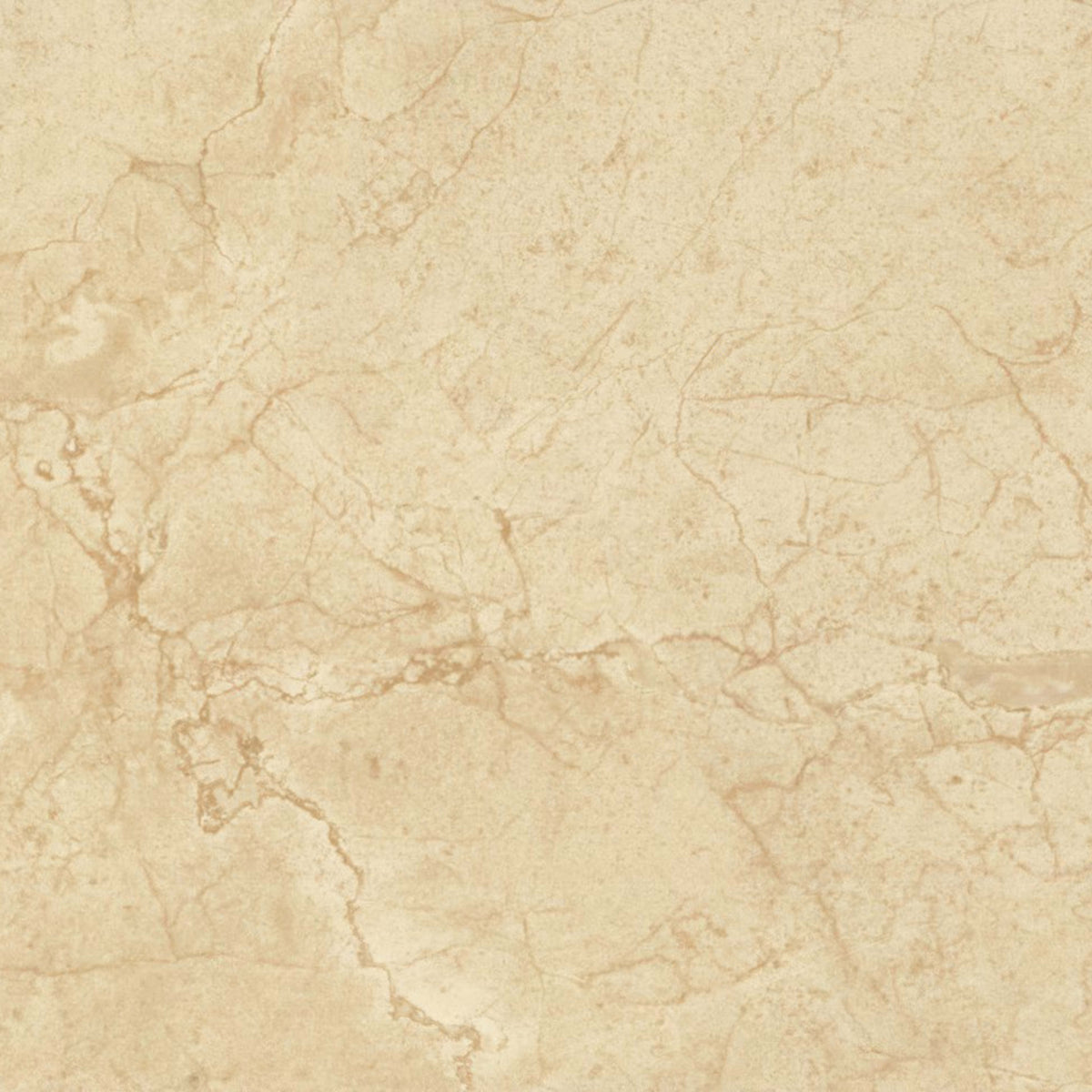 Florentine in Marfil 10x14 Tile