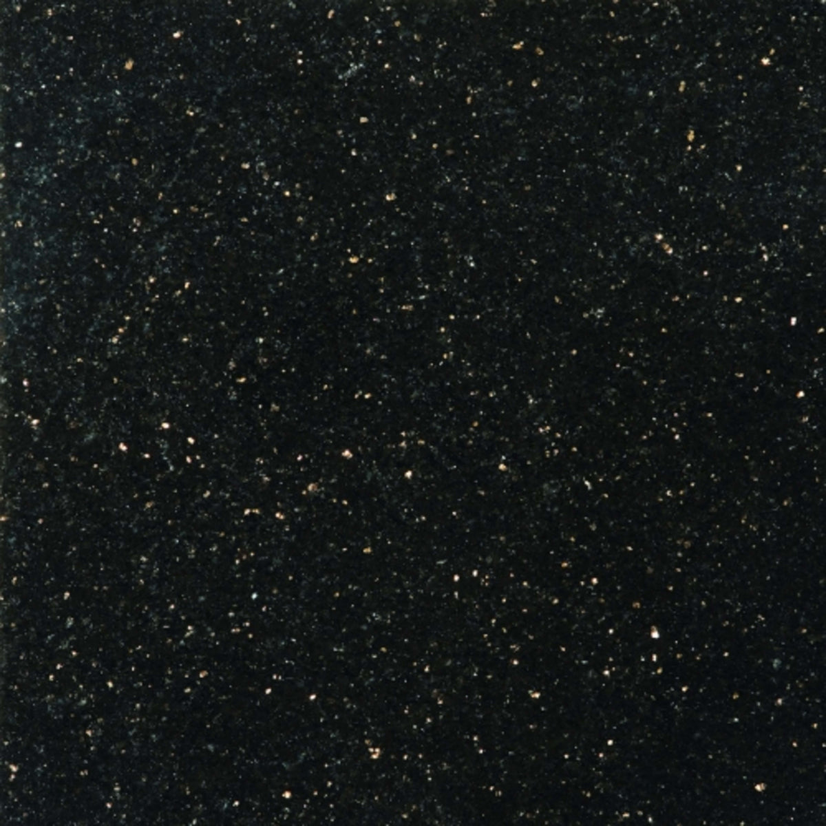 Granite in Galaxy Black 12"x12" Natural Stone