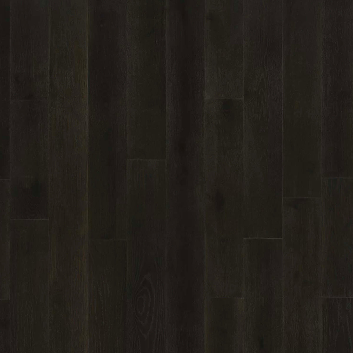 Serenity in Honest Oak Hardwood