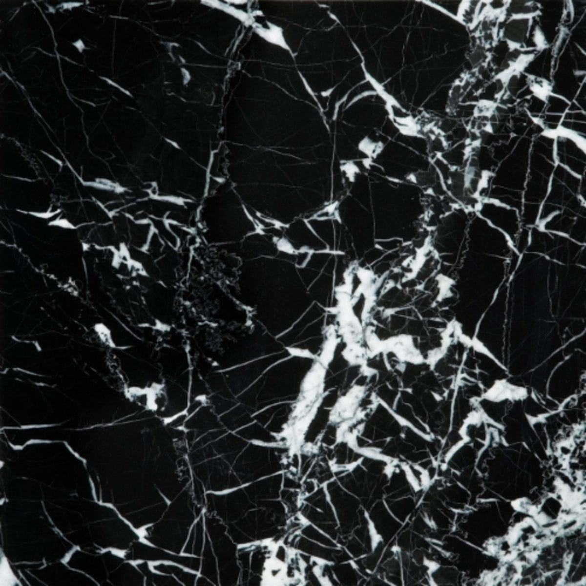 Marble in Black & White 12" X 12" Natural Stone