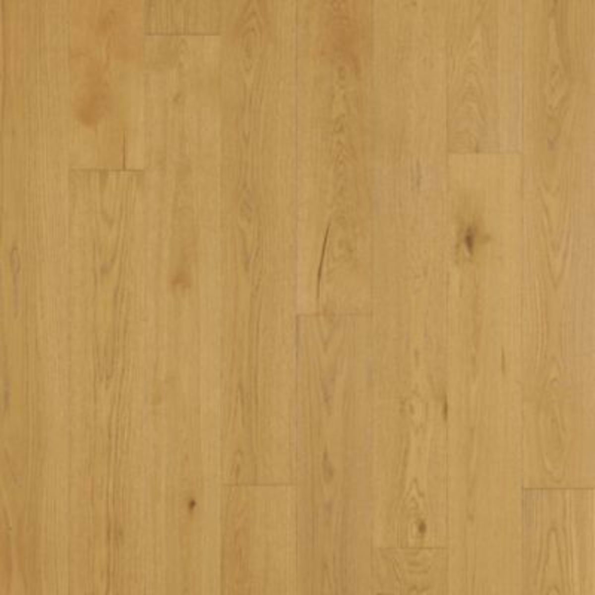 Balboa Strip in Naturale Oak Hardwood