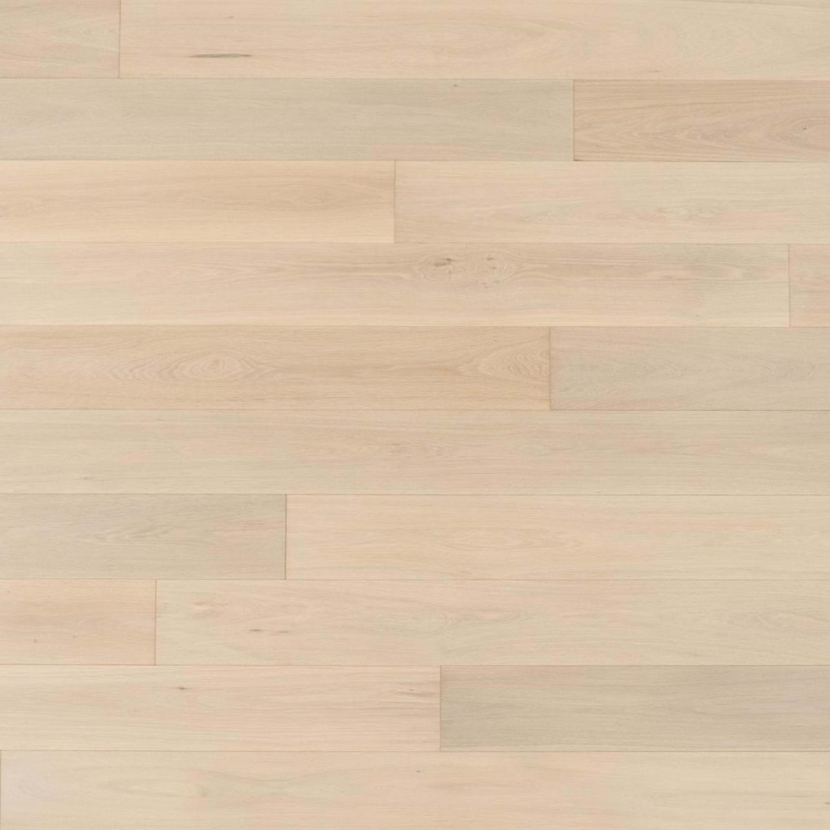 Pristine in Cambria Hardwood