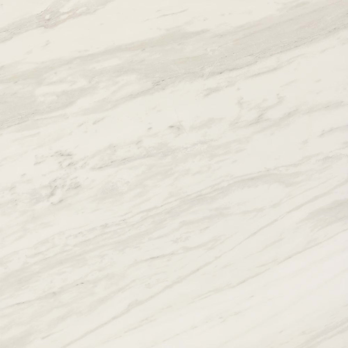 Perpetuo in Timeless White 12x12 Tile