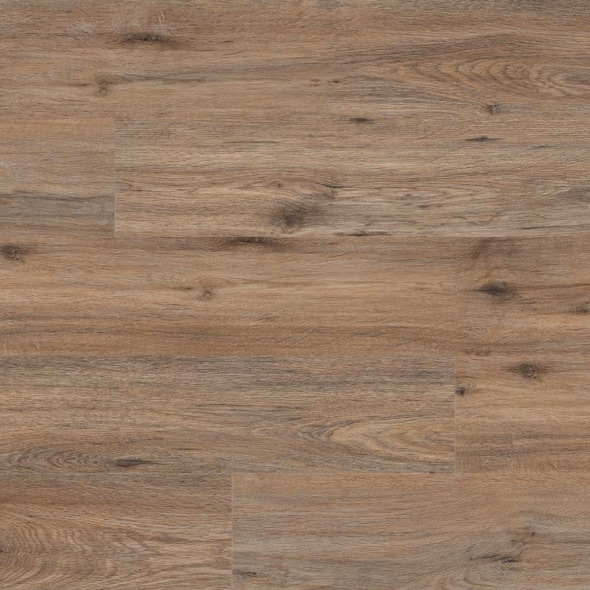 Prescott in Fauna Luxury Vinyl