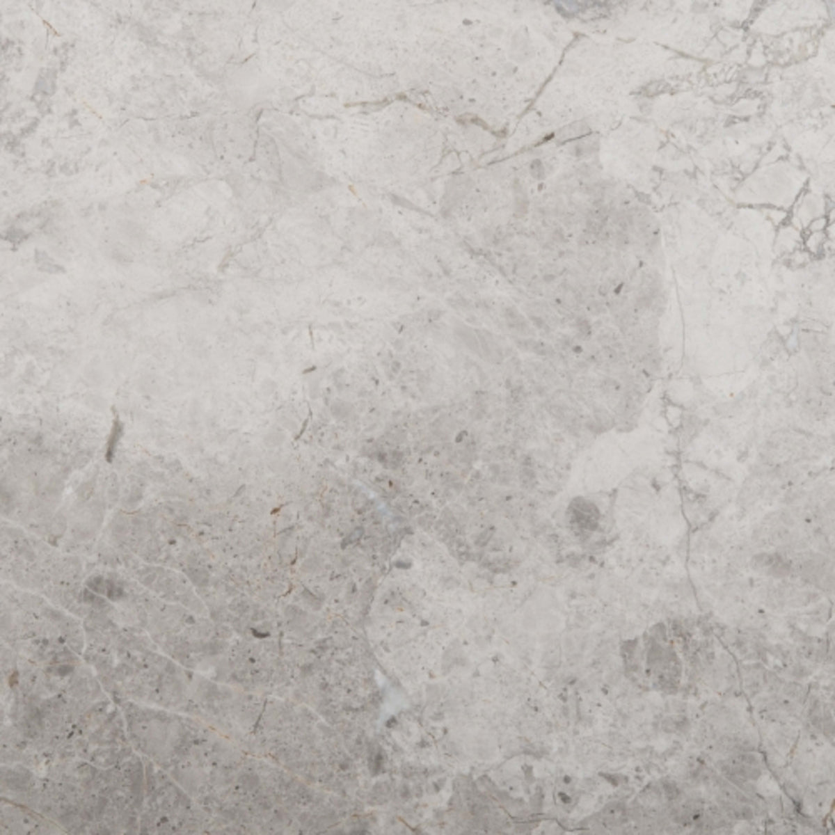 Marble Silver Collection in Silver Polished 12" X 12" Natural Stone