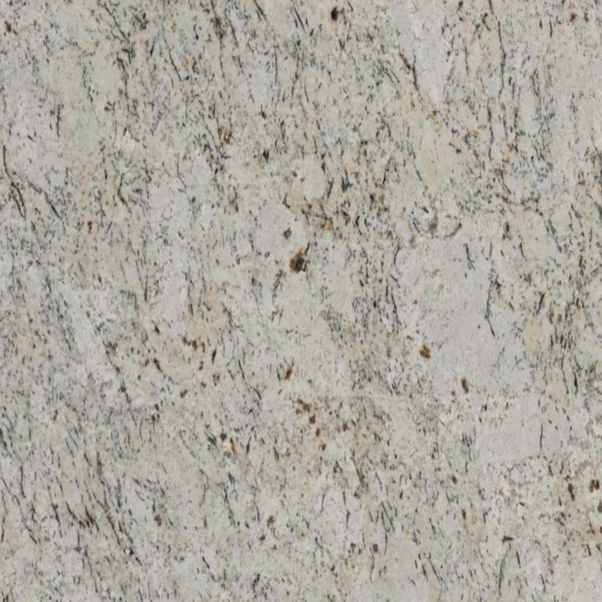 Sensa in Snowfall Natural Stone