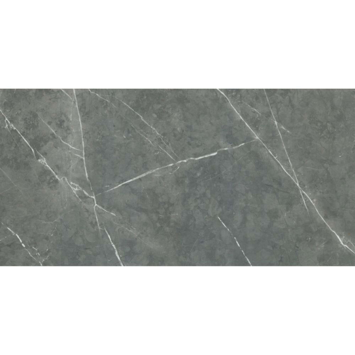 Altamura in Gray Tile