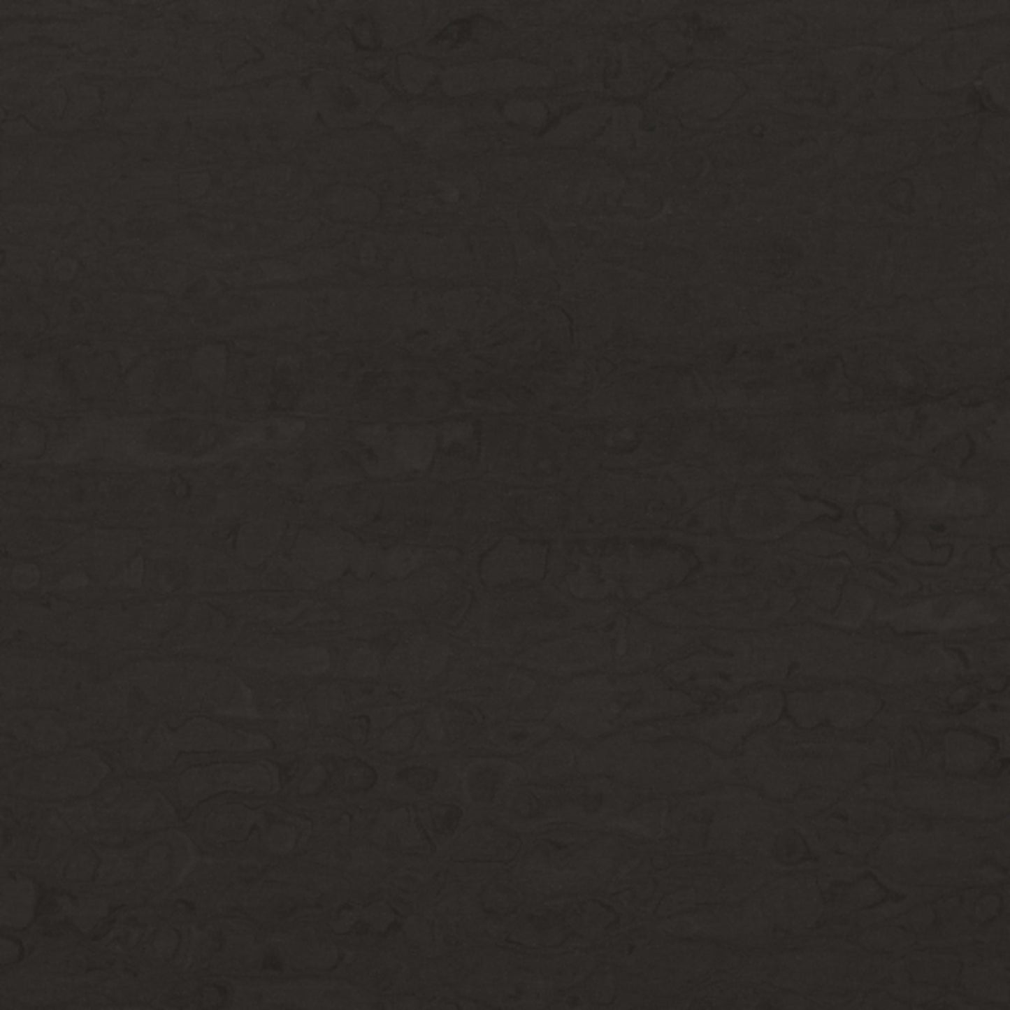 Solid Surface Collection in Saharan Night Solid Surface