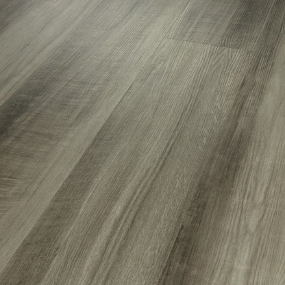 ENDURA PLUS