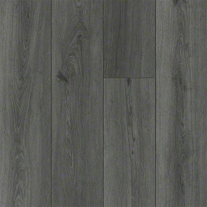 PARAGON 7" PLUS