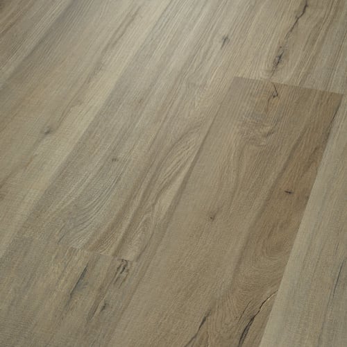 ENDURA PLUS