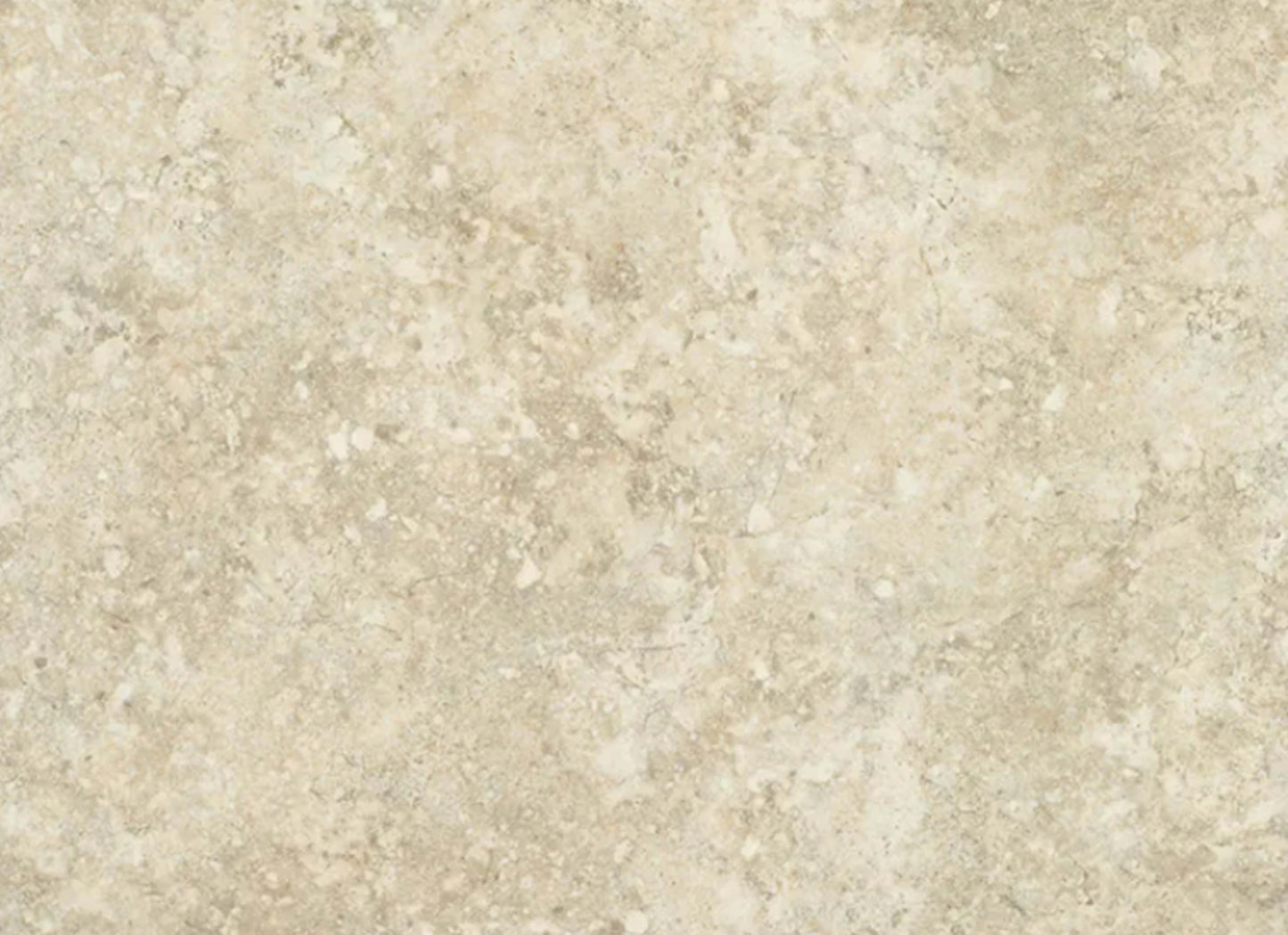 Coral Bay in Seashell - Silver