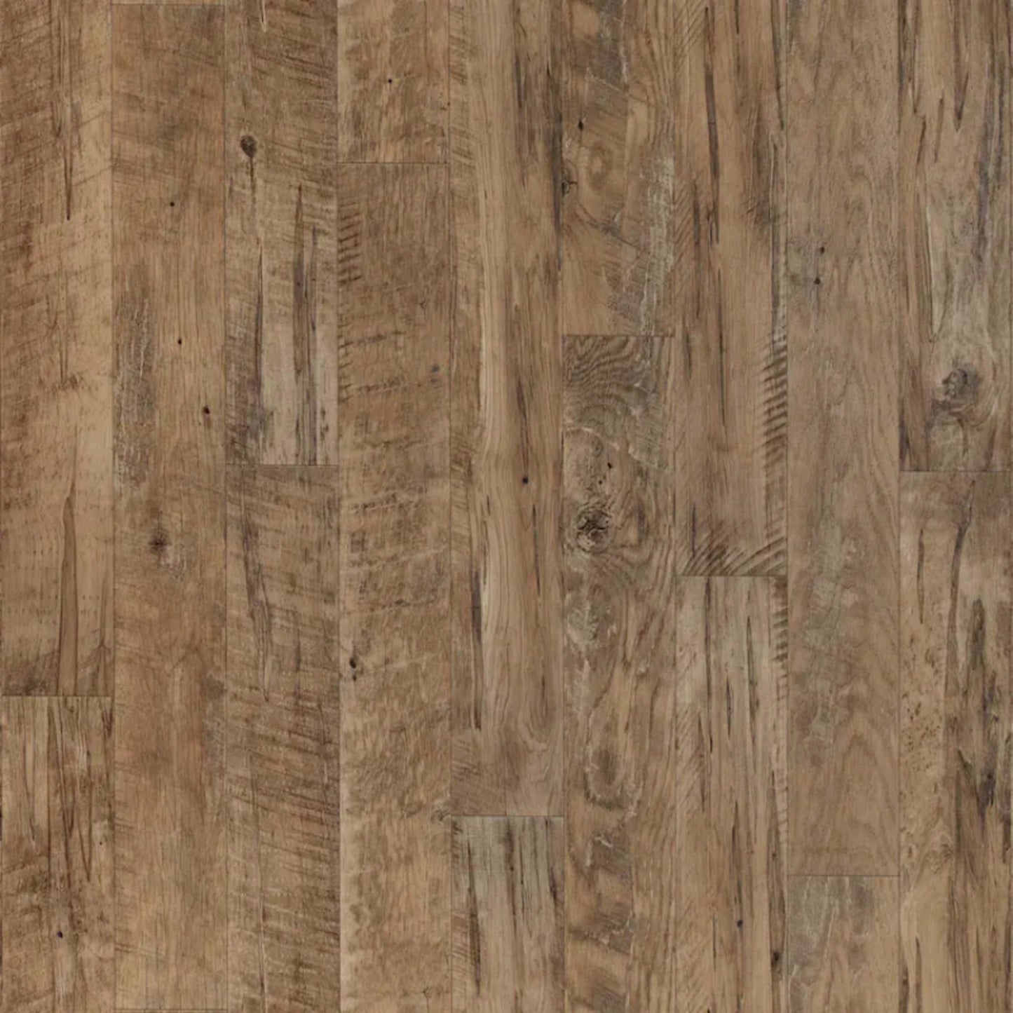 Black Mountain Oak in Timber - Gold Vinyl Sheet Goods