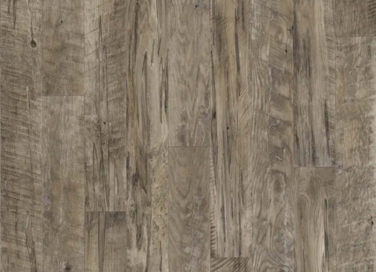 Black Mountain Oak in Coal - Platinum