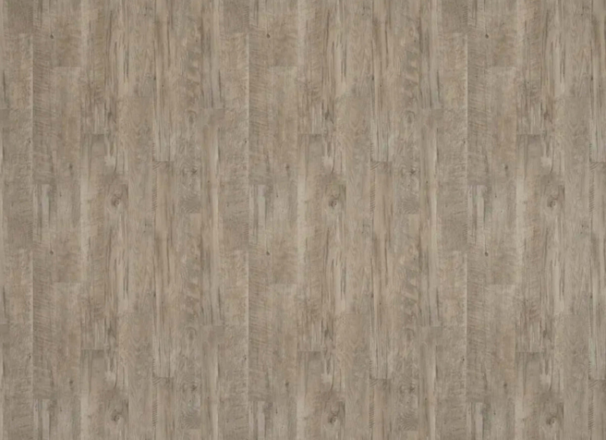 Black Mountain Oak in Pebble - Platinum