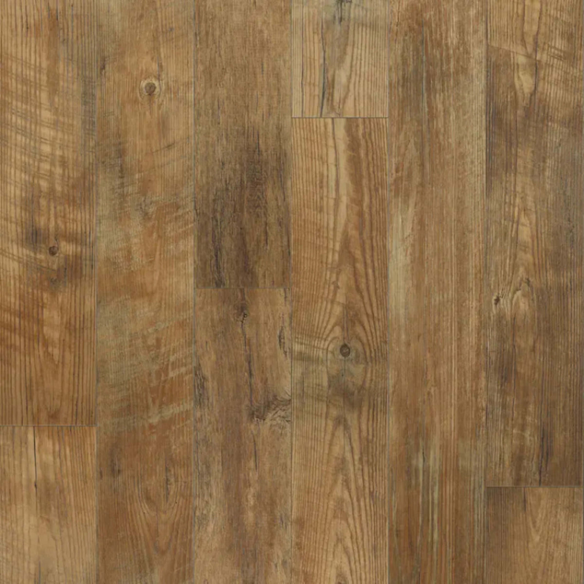 Newport in Sandalwood - Gold Vinyl Sheet Goods