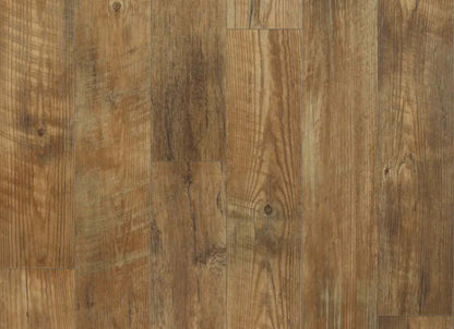 Newport in Sandalwood - Platinum