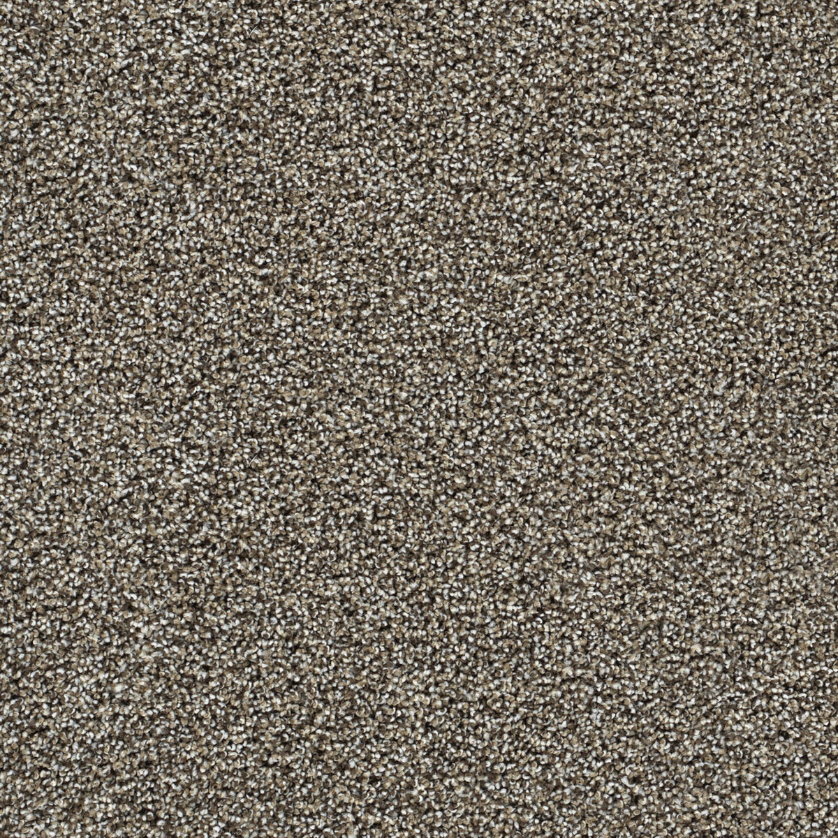 Captivating II in Dark Truffle Carpet