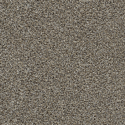 Captivating II in Dark Truffle Carpet
