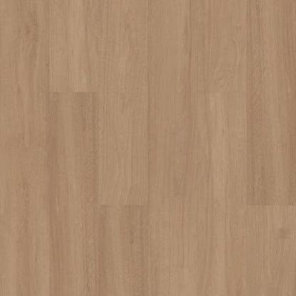 PANTHEON HD+ NATURAL BEVEL