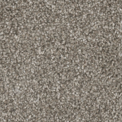 Mount Rainier I in Cedar Way Carpet