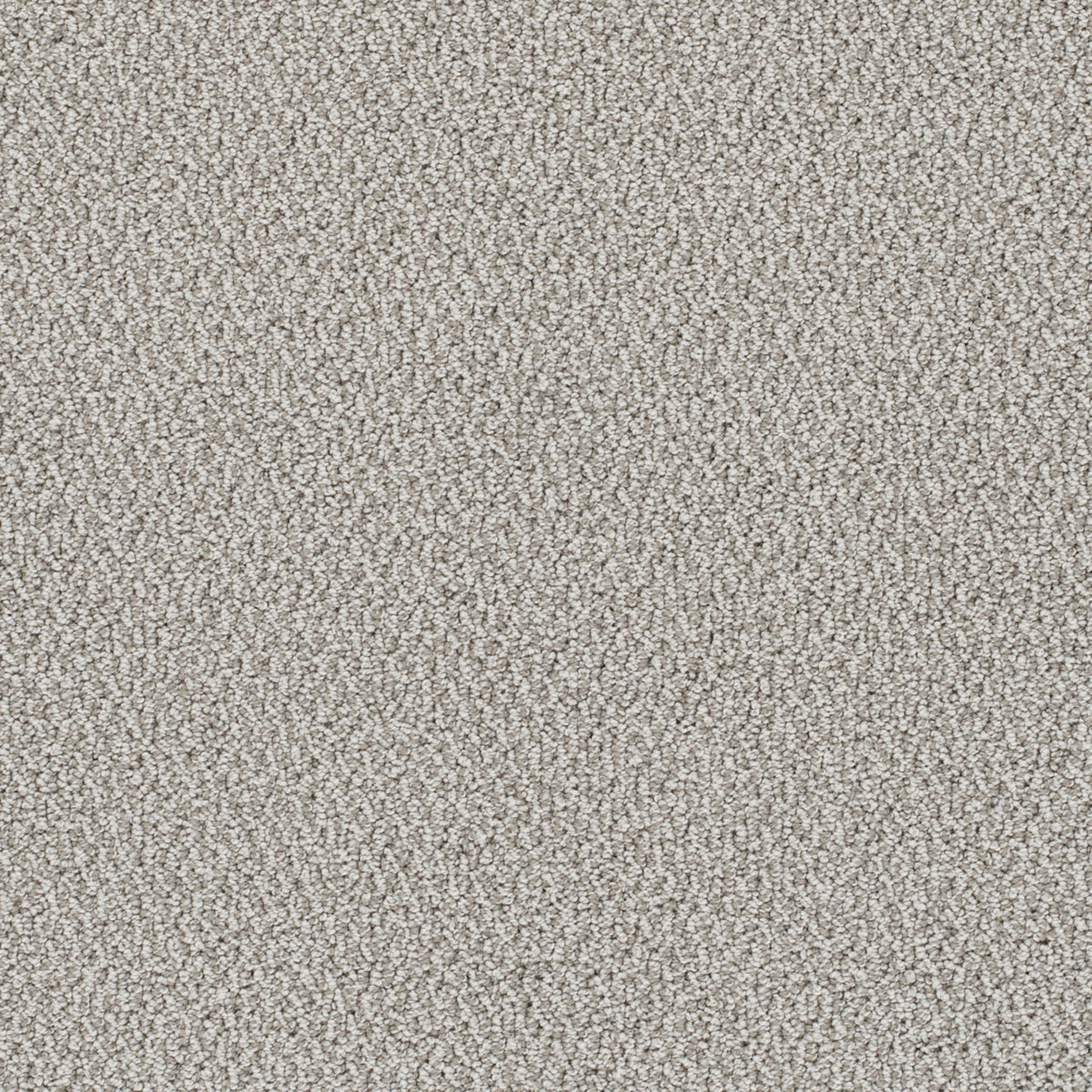 Palazzo in Riviera Carpet