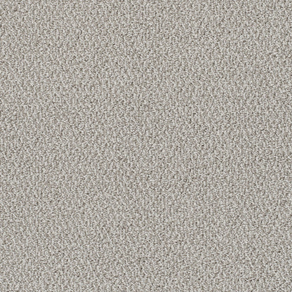 Palazzo in Riviera Carpet