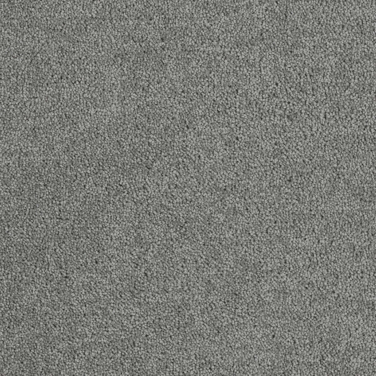 Bel Air in Armor Carpet