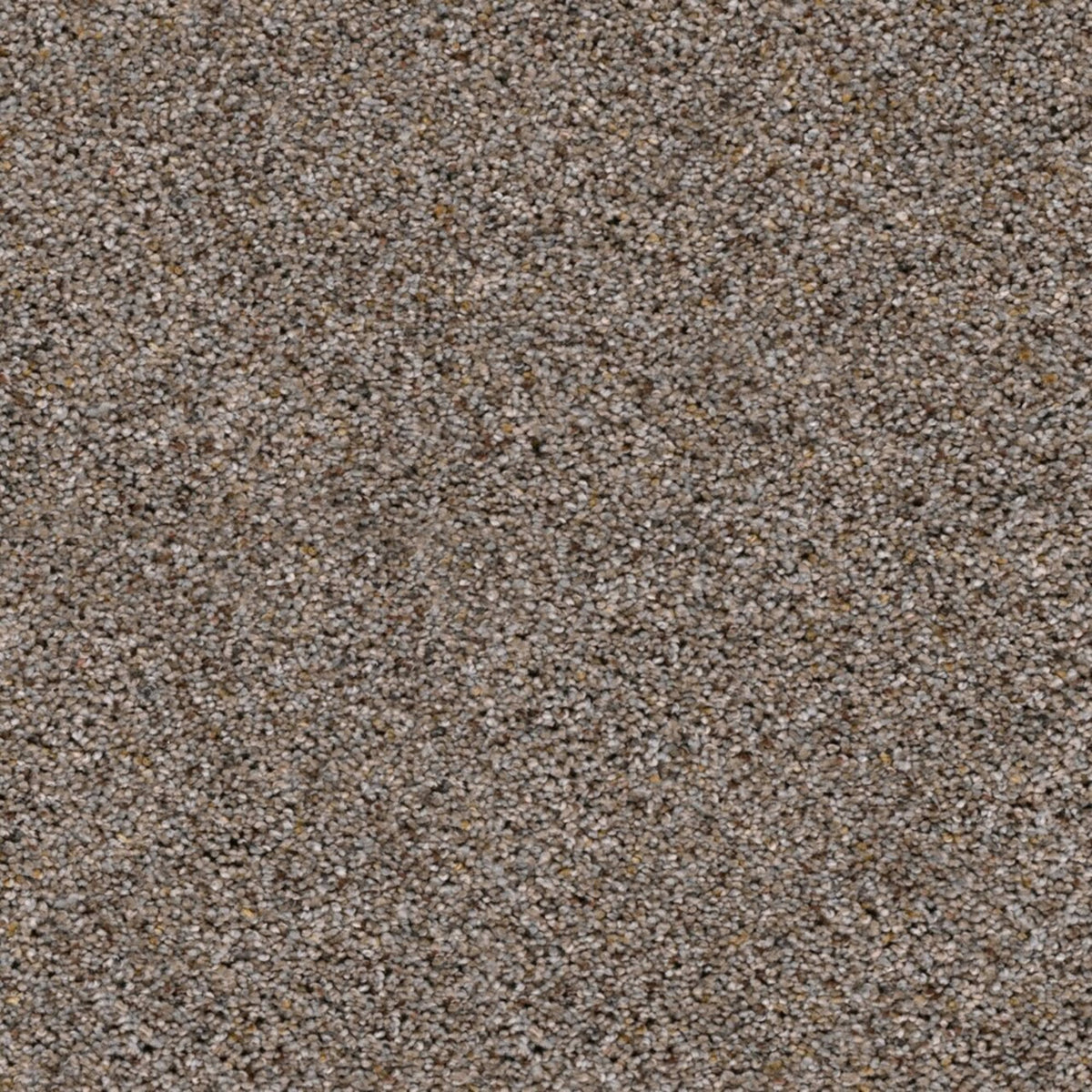 Marley II in Graphic Charcoal Carpet