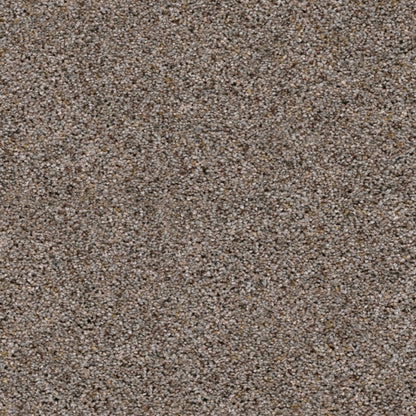Marley II in Graphic Charcoal Carpet