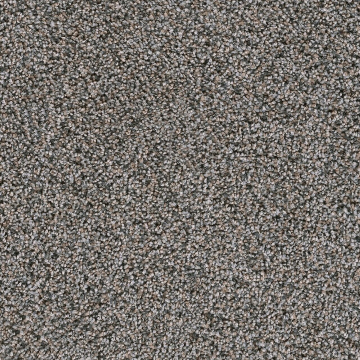 Lustrio I in Ash Grove Carpet