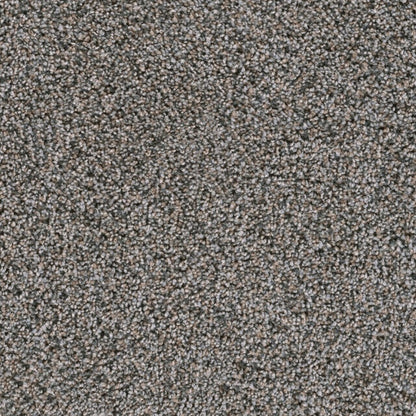 Lustrio I in Ash Grove Carpet