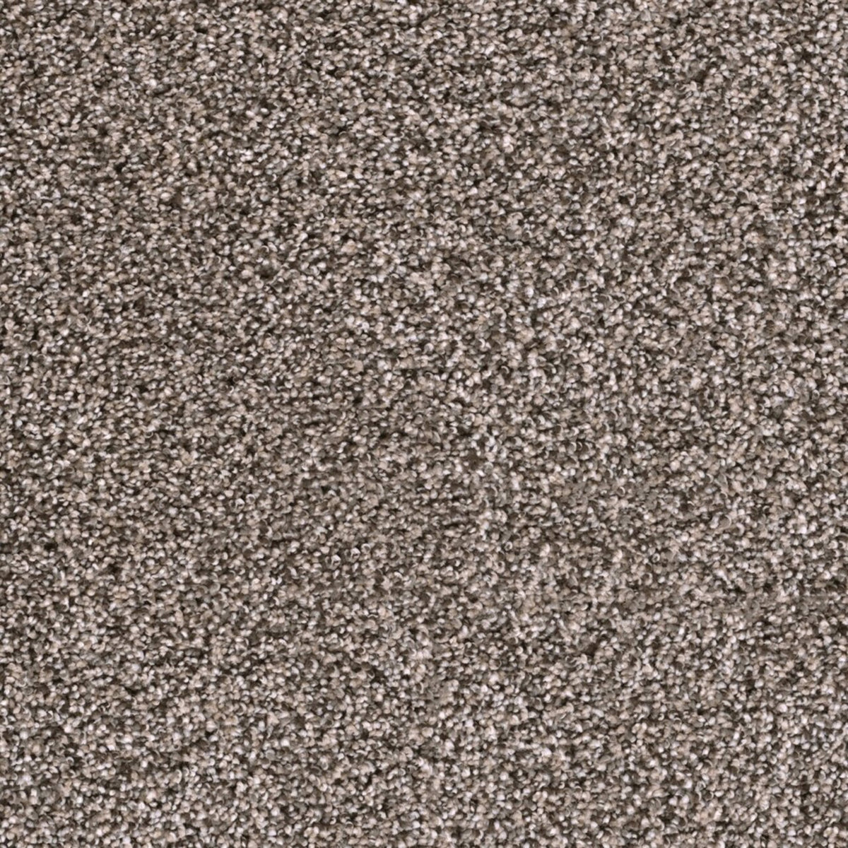 Lustrio I