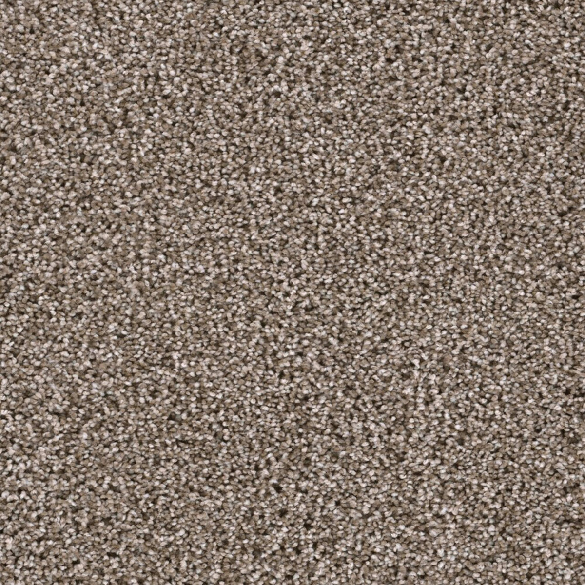 Lustrio I