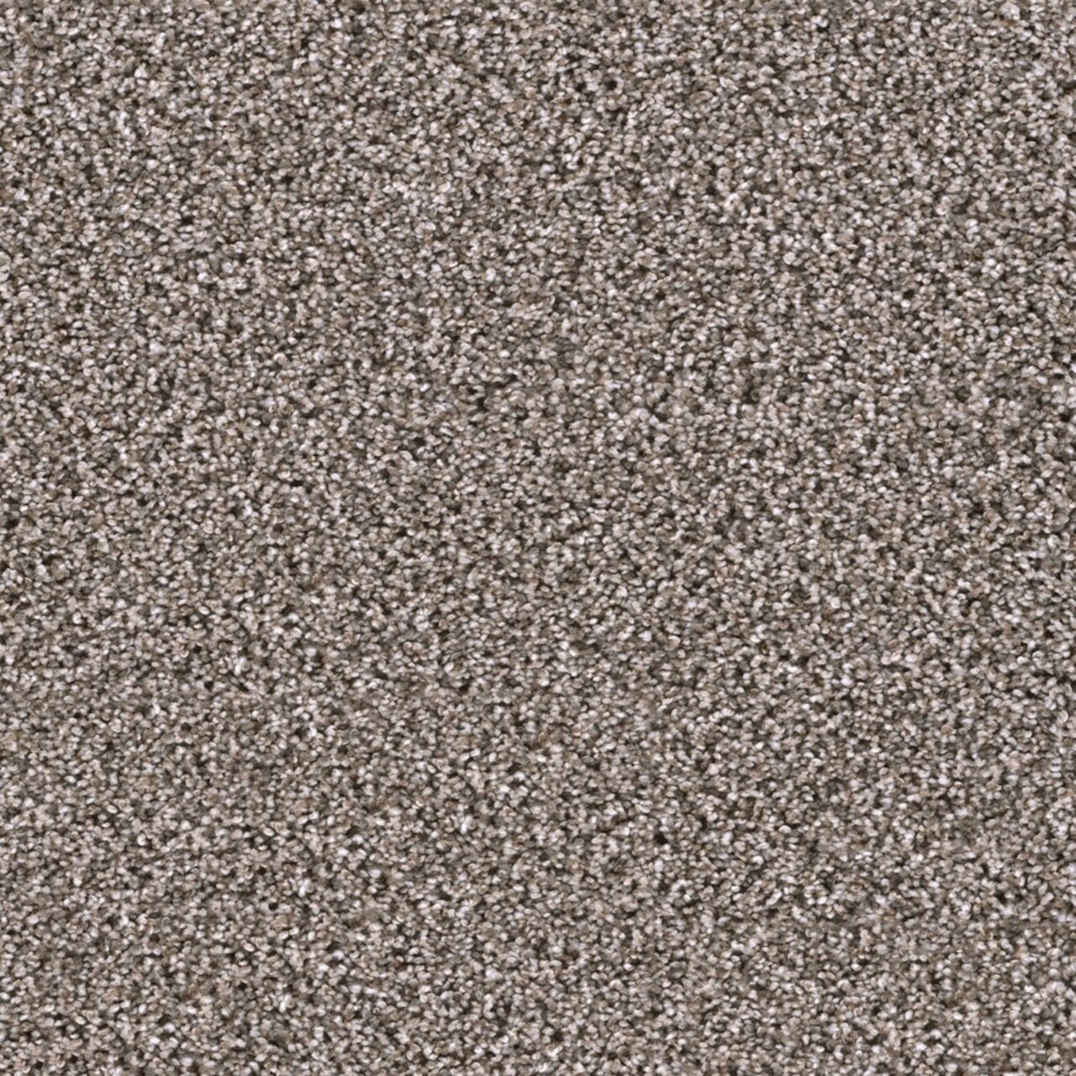 Lustrio I