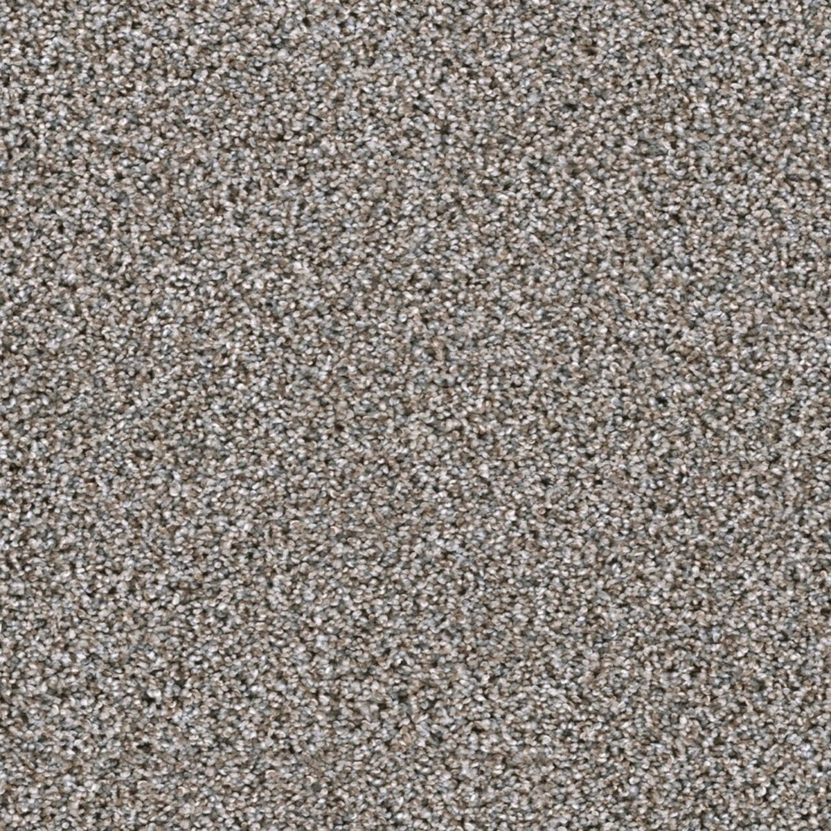 Lustrio I